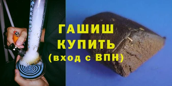 индика Дмитров