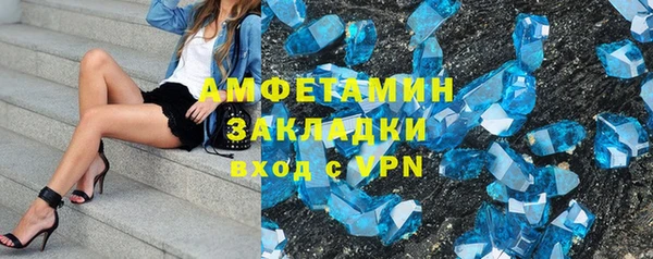 индика Дмитров