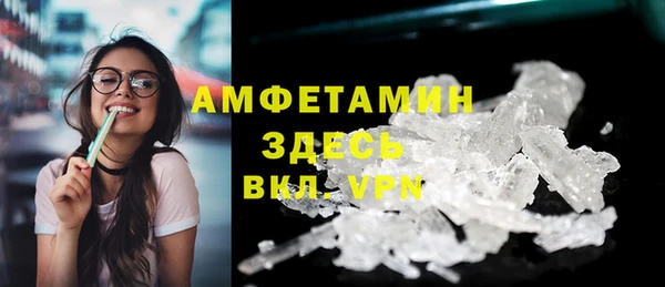 индика Дмитров