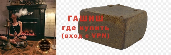 индика Дмитров