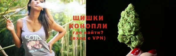 индика Дмитров