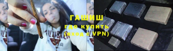 индика Дмитров