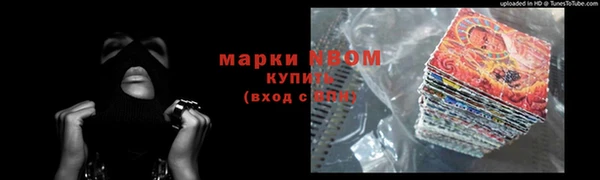 индика Дмитров