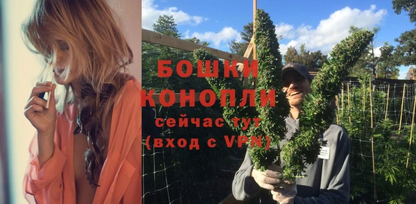 индика Дмитров
