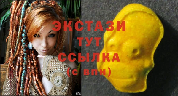 индика Дмитров