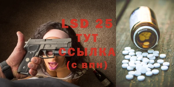 индика Дмитров