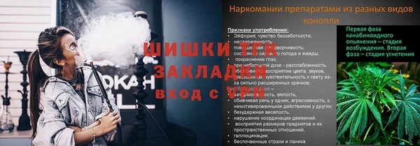 стафф Елабуга
