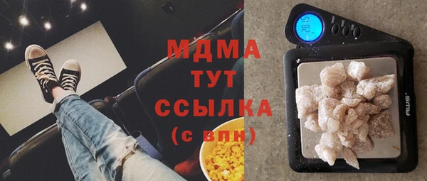 индика Дмитров