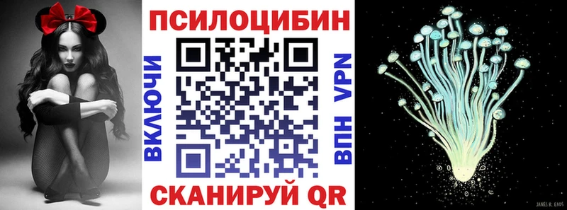 Псилоцибиновые грибы Psilocybine cubensis  Купить закладки  Киреевск 